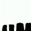 Юлия Яновская | Adelaide