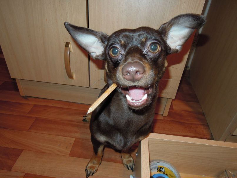 Вадим Муллаяров <<kazimir>> | Уфа