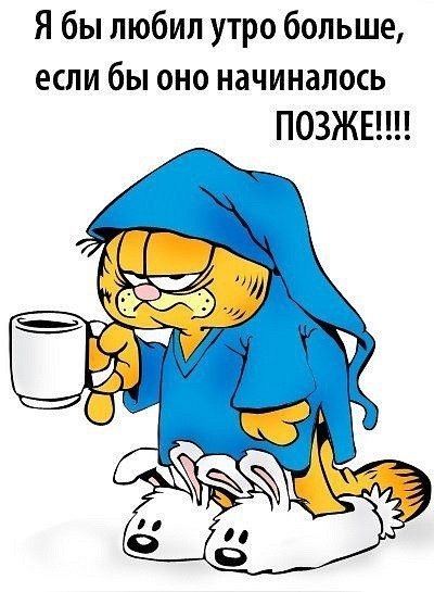 Илья Антипенко | 