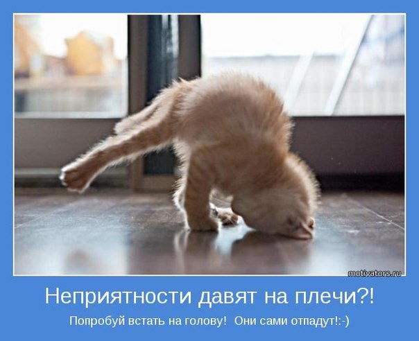 №58, Бибинур Алтыбаева, Астана, Казахстан №58, Бибинур Алтыбаева, Астана, Казахстан