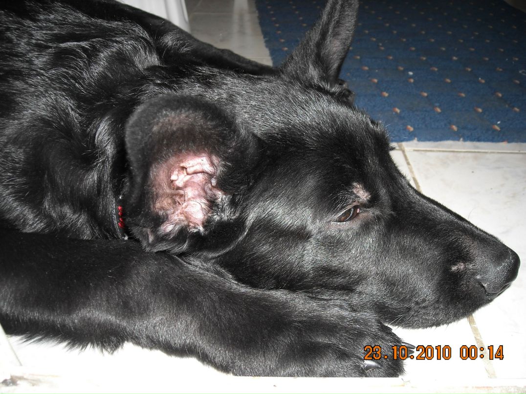 Михаил Зубцов | Москва