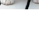 №114, Алёна Леус, 26 лет, Вологда №114, Алёна Леус, 26 лет, Вологда