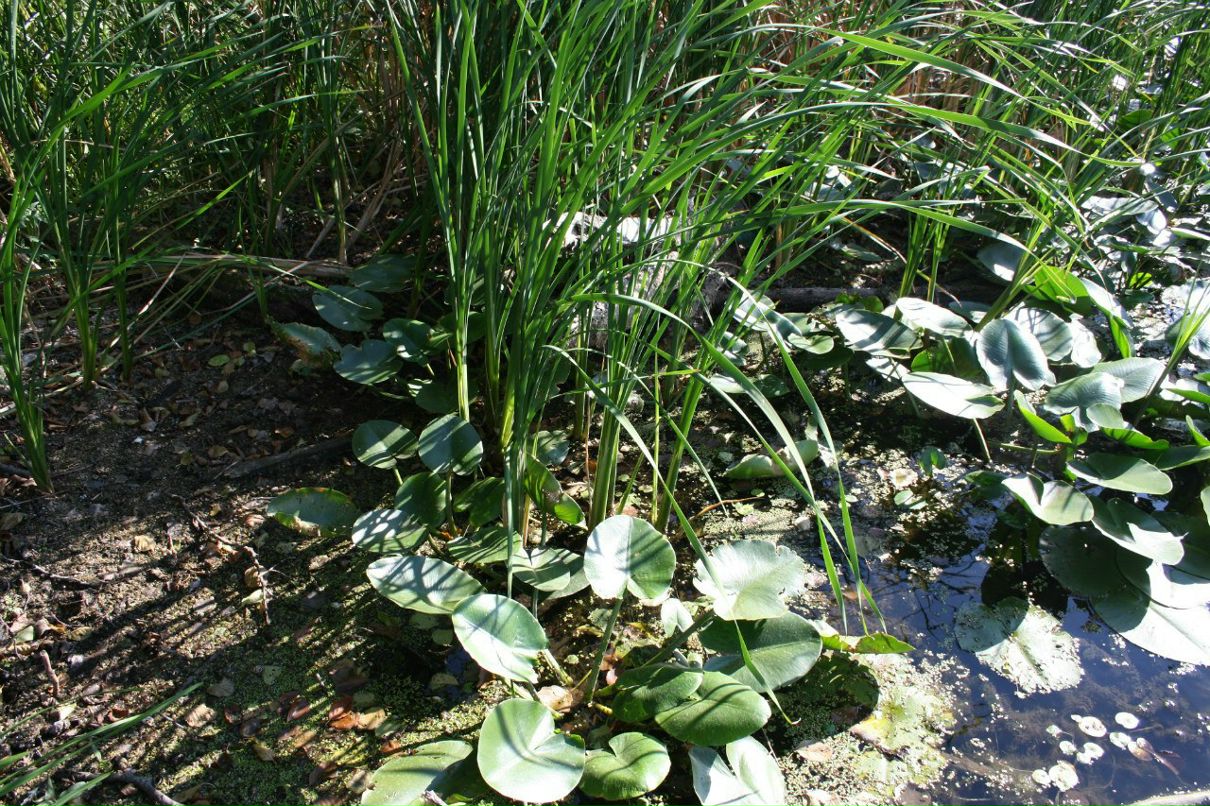 Маргарита Иванова | Москва