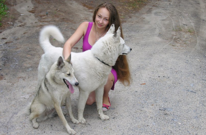 Dasha Valashenko | | Årdalstangen