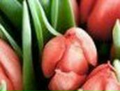 Марина Тебенькова Ильдаровна | Челябинск