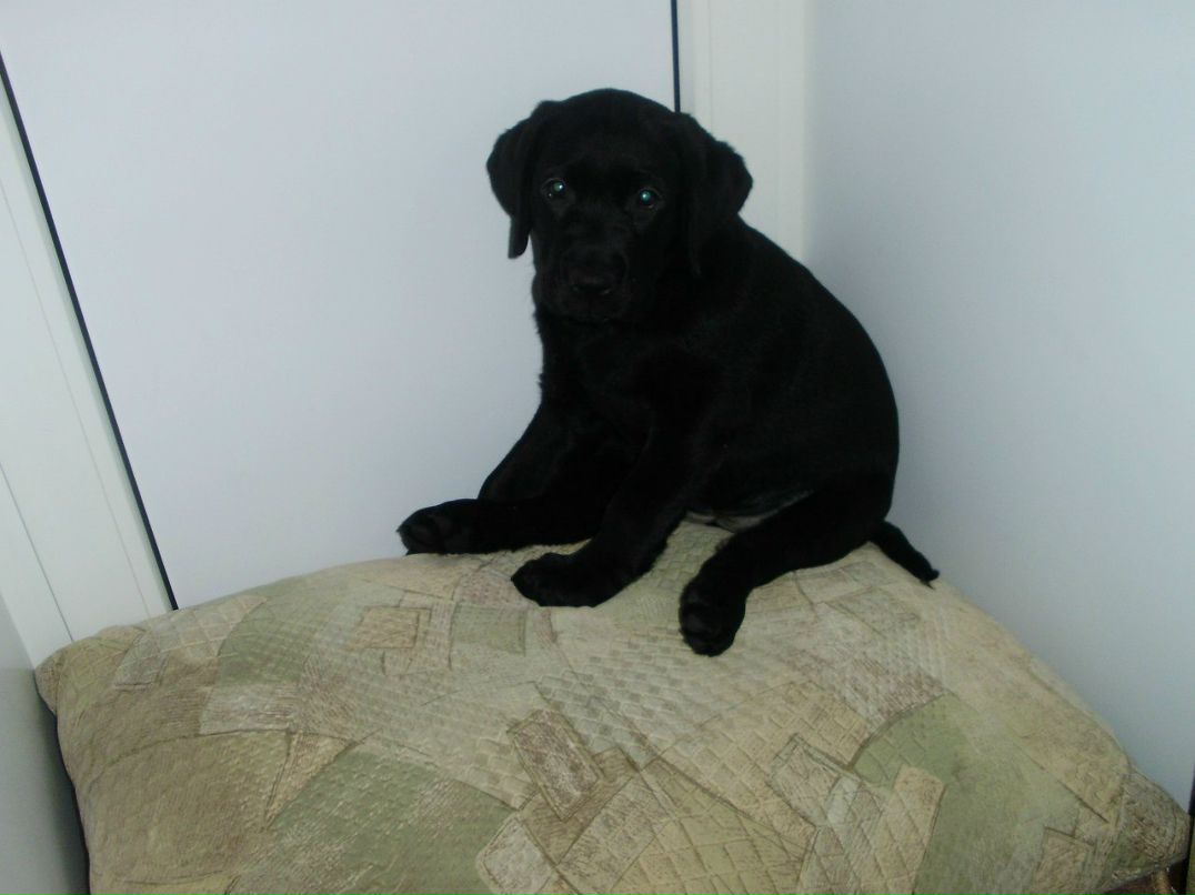 Елена Кузнецова | Череповец