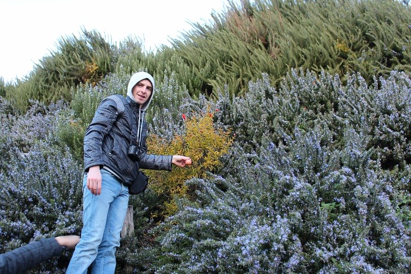 Сергей Коровянко | Таганрог