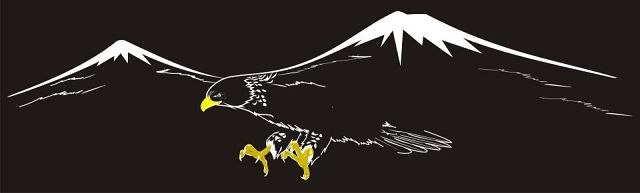 Нвер Микаелян | Ростов-на-Дону