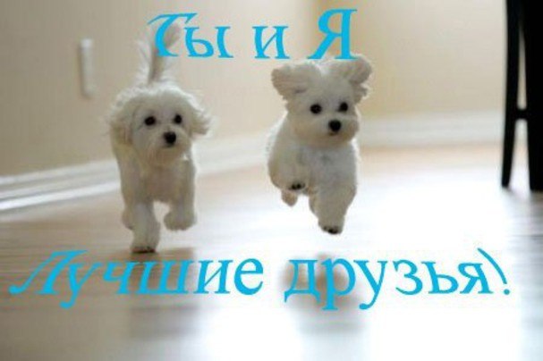 Таня Терещенко Дмитриевна | Каменское / Днепродзержинск