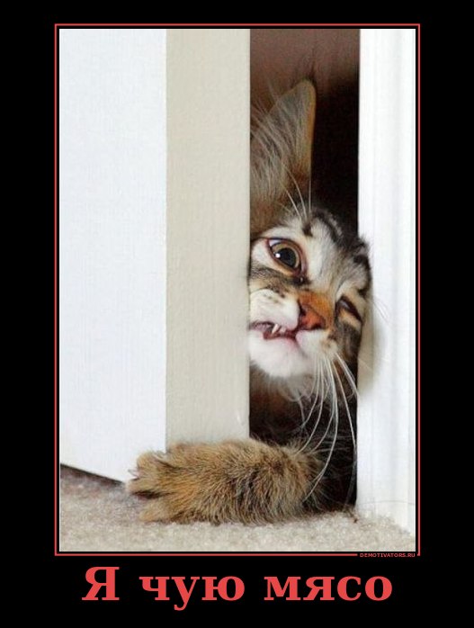 Сергей Суслов | Санкт-Петербург