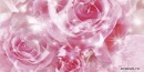 №25 Полина Фадеева