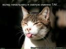 Фотография Вера Удальцова