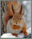 №1 Елена  17.01: профиль, фото, статус - ВКонтакте