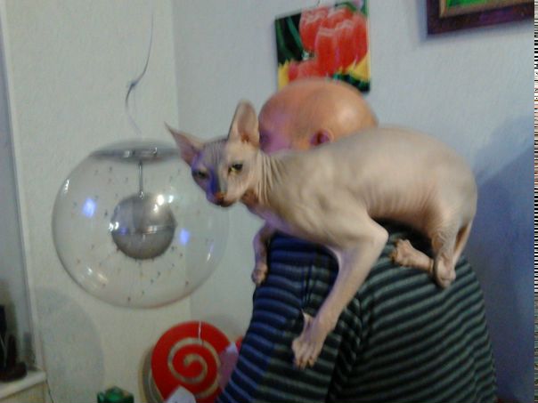 №25, Эдвард Белобородов, Хабаровск №25, Эдвард Белобородов, Хабаровск