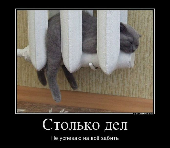 №20, Александр Шапошников №20, Александр Шапошников