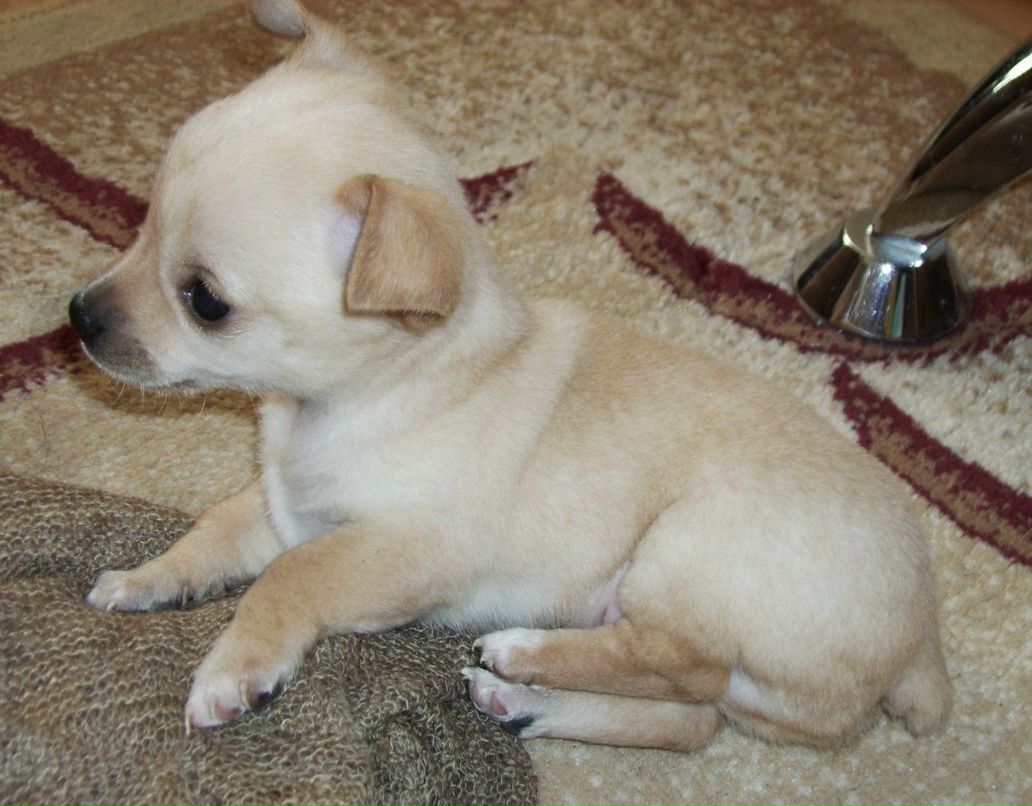 Мария Игнатьева | Сатка