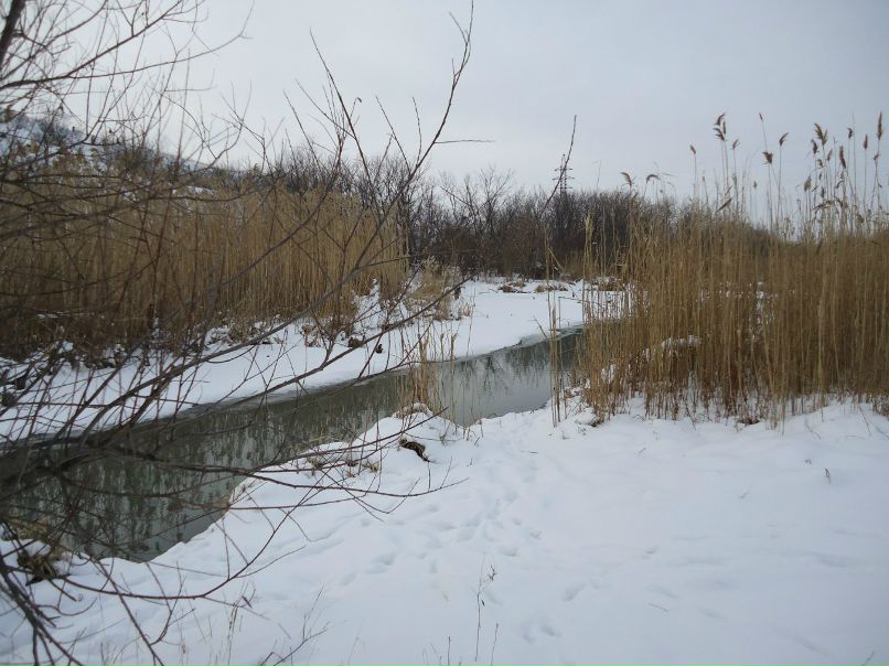 Дима Хачев | Донецк