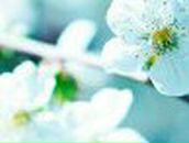 Надежда Клименко | Санкт-Петербург