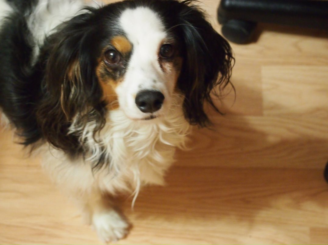 Наталья Лукьянова | Москва