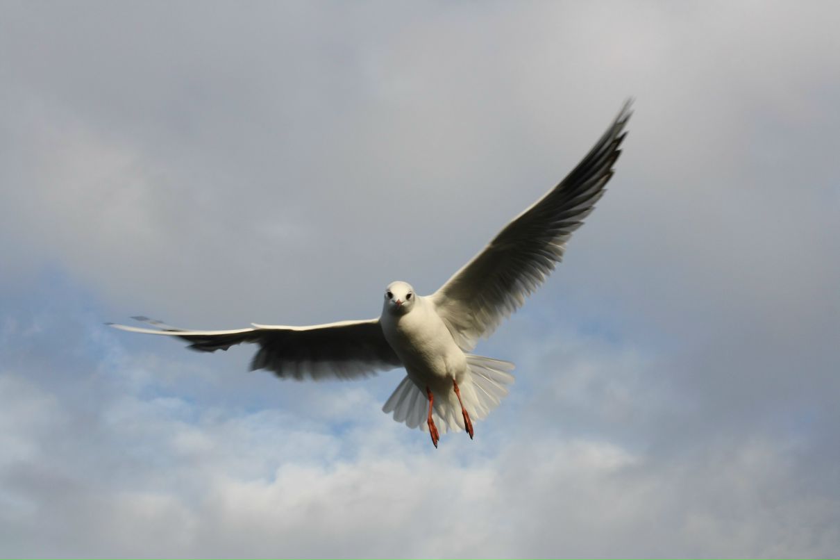 Тоня Итченко | Москва