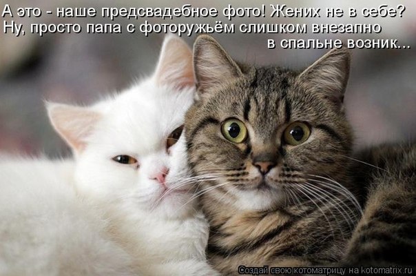 Танюшка Боровкова | Нижний Новгород