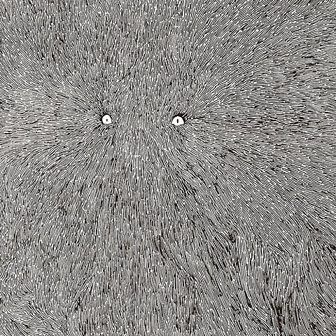 Фабриций Нимроберн | Саратов