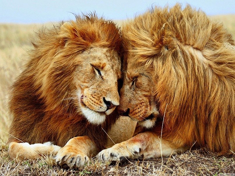 Илья Кличугин | Москва