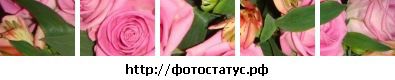 №26 Ксения Сираева : профиль, фото, статус - ВКонтакте №26 Ксения Сираева : профиль, фото, статус - ВКонтакте