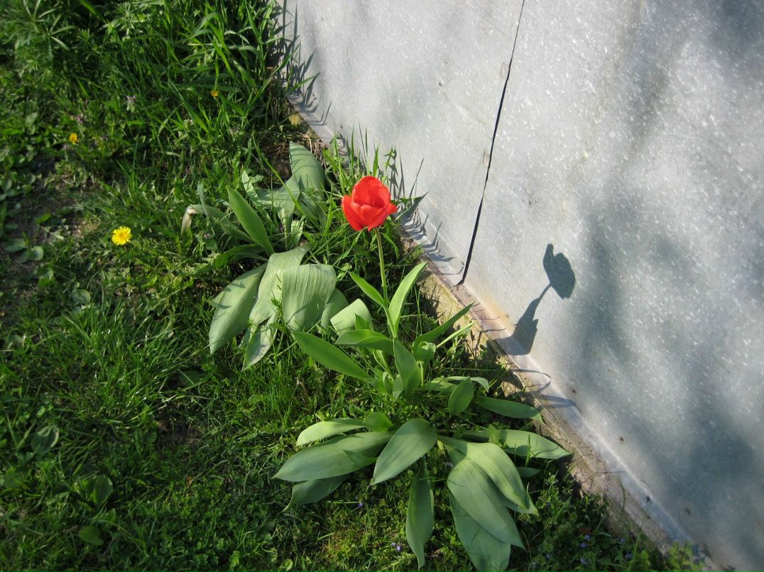 Виталий Вовчук | Киев