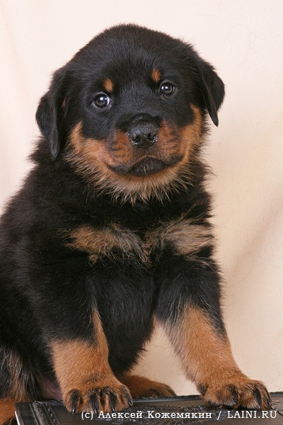 №24, Настя Котова, Ульяновск, Россия №24, Настя Котова, Ульяновск, Россия