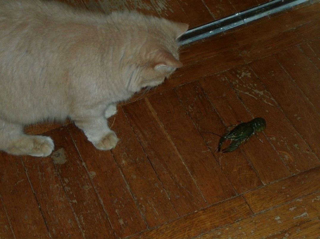 Варя Ткачёва | Ростов-на-Дону