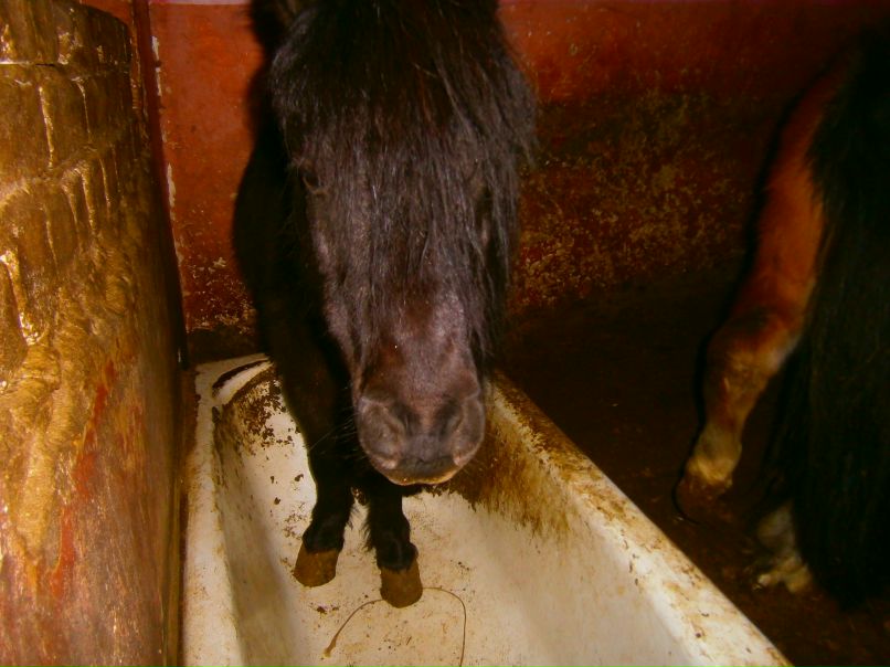 Андрей Балык | Одесса