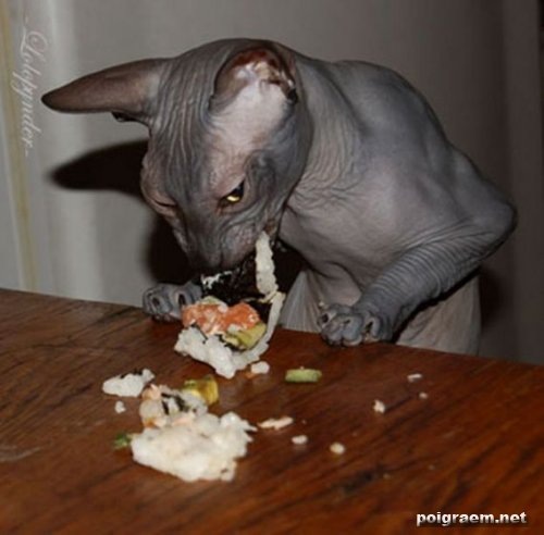 №47, Евген Кабанов, Сафоново №47, Евген Кабанов, Сафоново