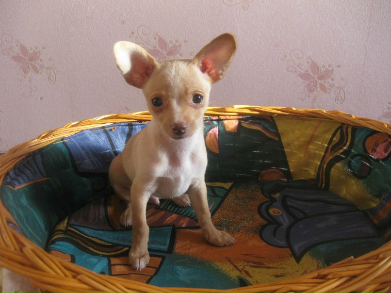 Anna Iksanova | Трехгорный