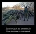 Александр Старовойтов фотография #8