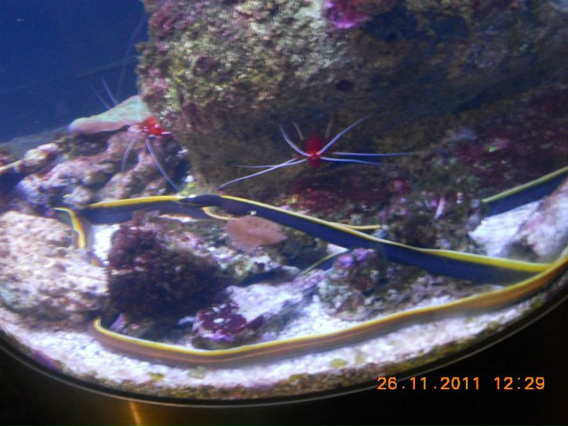 Павел Игнатьев | Костомукша