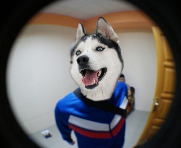 Петр Романов Великий | Москва