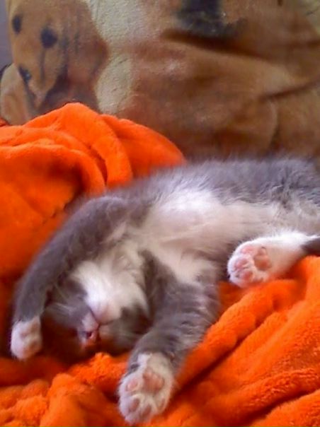 №2, Анастасия Малютина, 42 года, Новосибирск №2, Анастасия Малютина, 42 года, Новосибирск