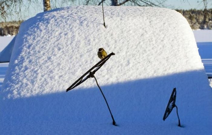 Эльвира Юнусова | Казань