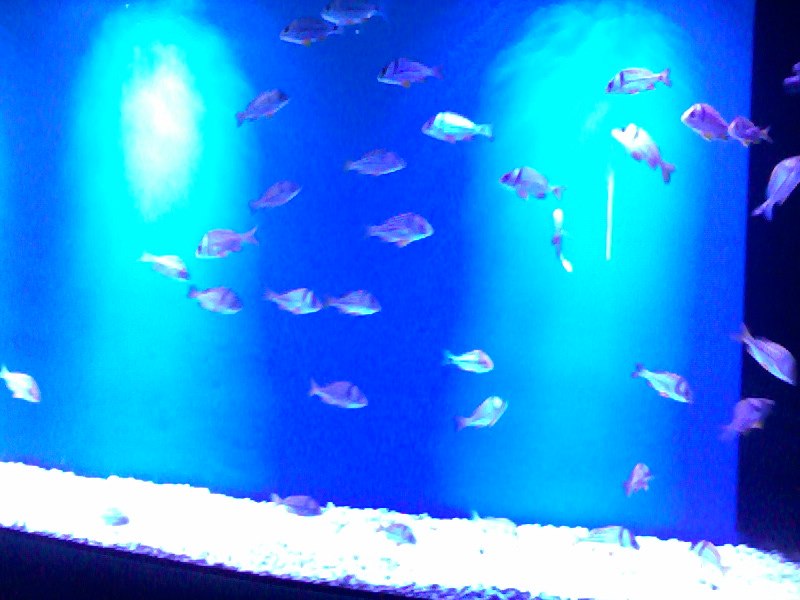 Татьяна Баранова | Санкт-Петербург