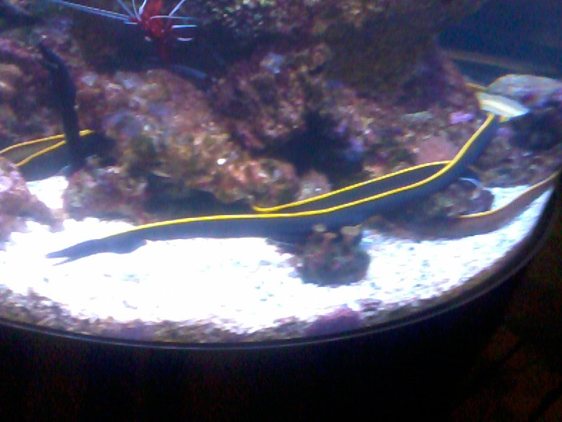 Татьяна Баранова | Санкт-Петербург