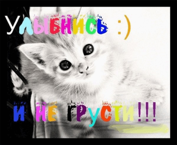 №16, Татьяна Ларина №16, Татьяна Ларина