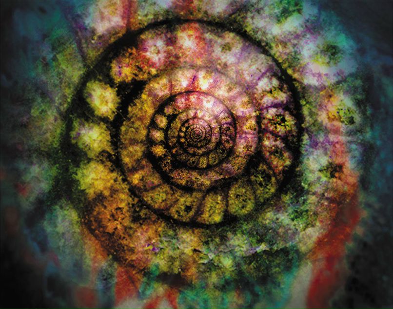 Марина Дорофеева | Москва