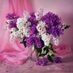 Иван Пирожков | Коломна