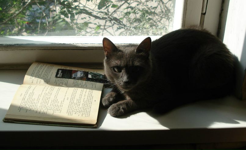 Виктория Анисимова | Москва