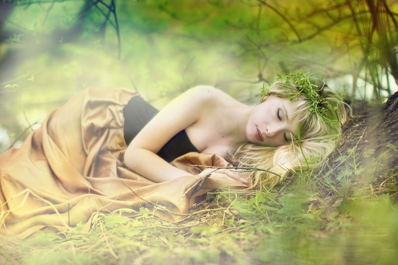 Лия Широкова | 