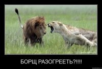 Ринат Карачурин | Уфа