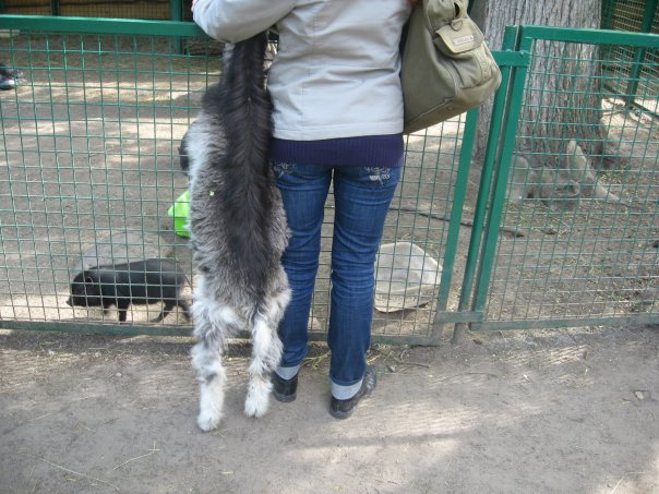 №163, Каришка Штильман, 37 лет, Bat Yam №163, Каришка Штильман, 37 лет, Bat Yam