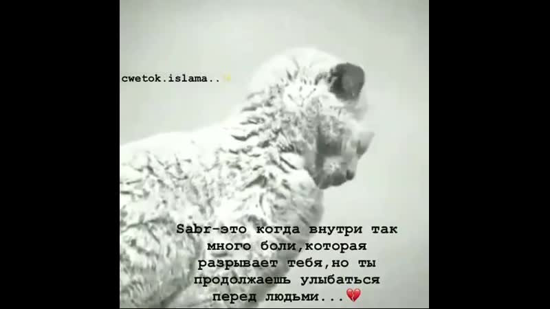 сабр