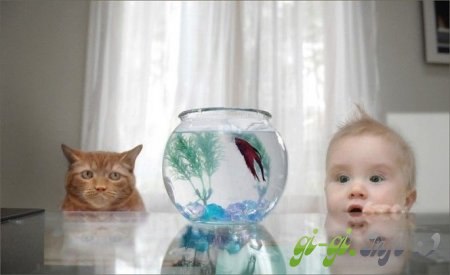 Ильнур Минвагизович $ NUGMAN $ | Кирби